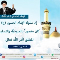 شهادات الأئمة 